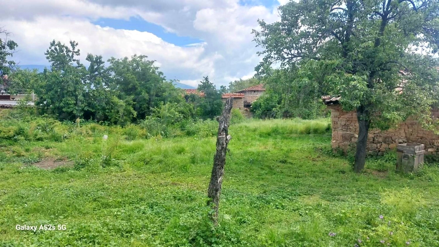 outside, green area, garden
