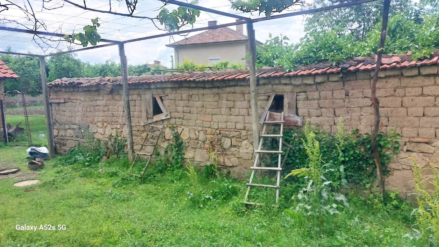 outside, garden, green area