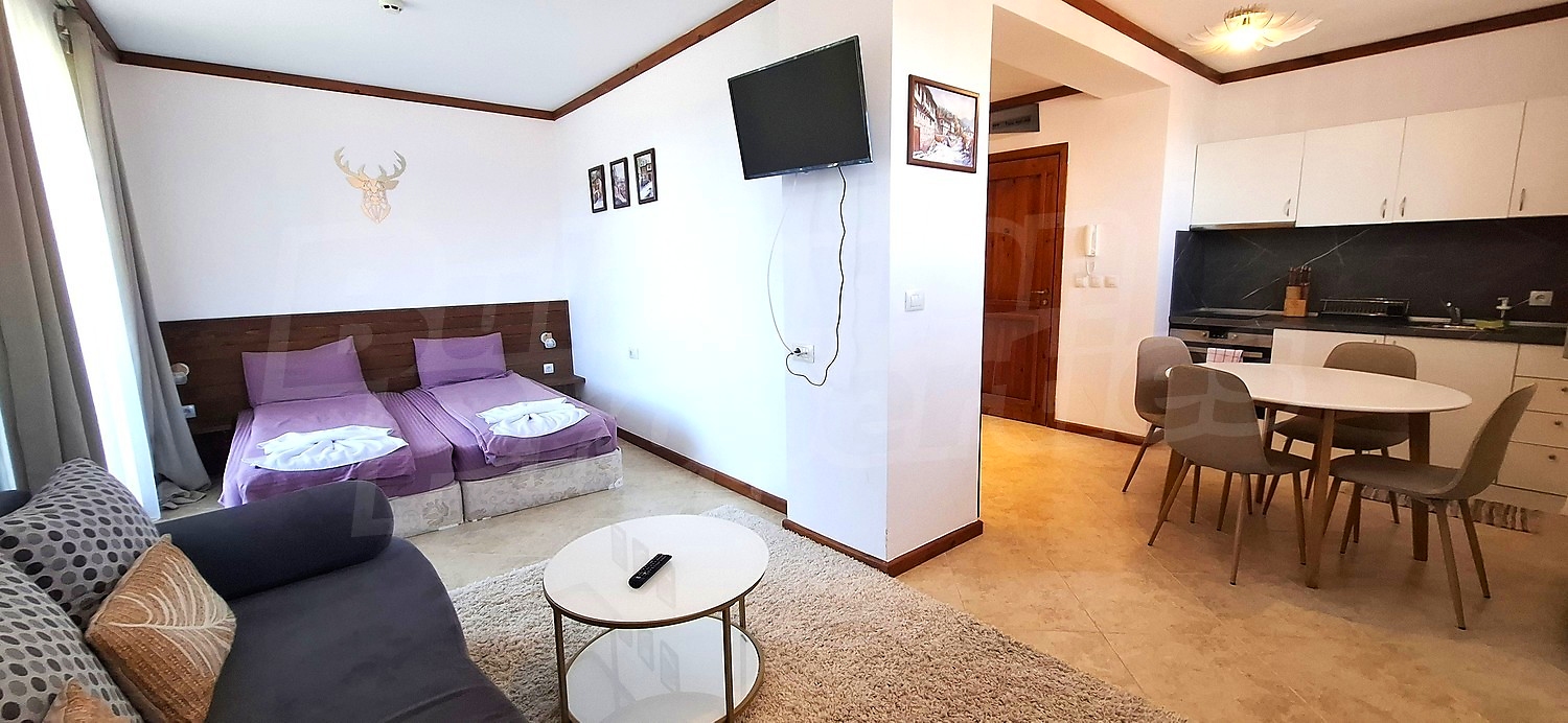 inside, living room, kitchen, furnished