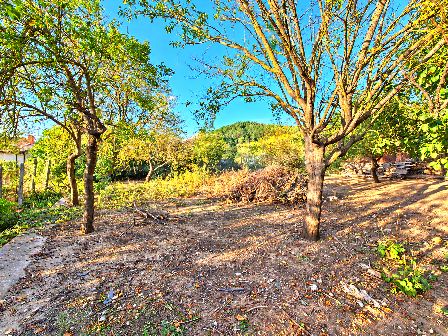 outside, green area