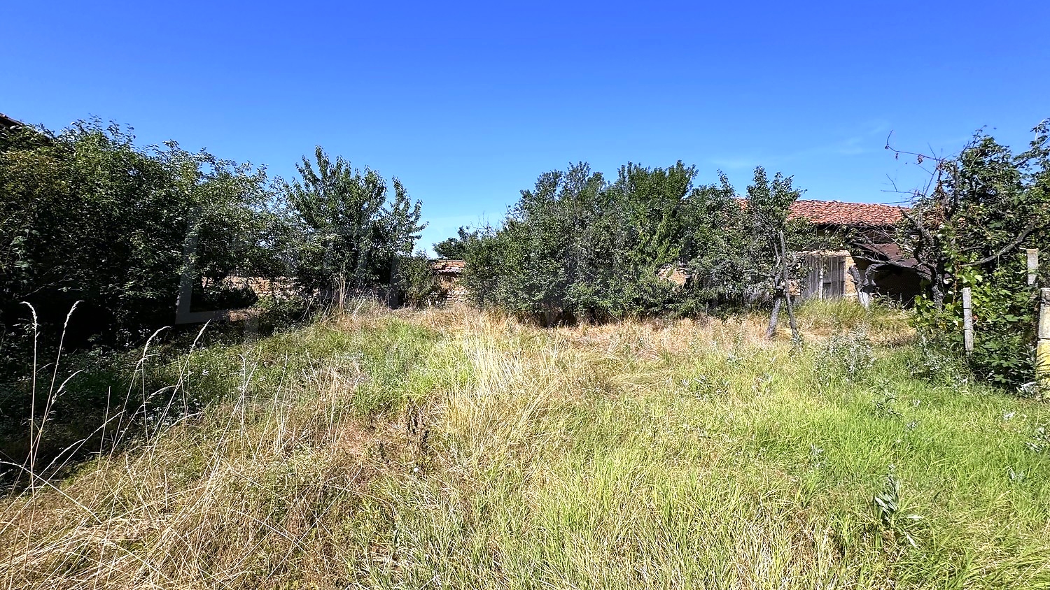 outside, garden, green area