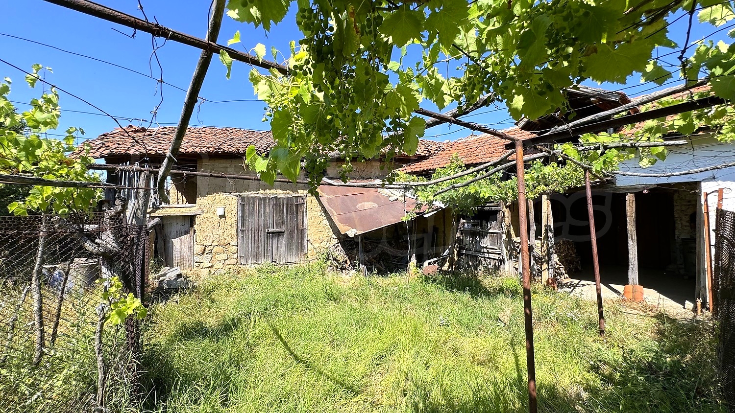 outside, garden