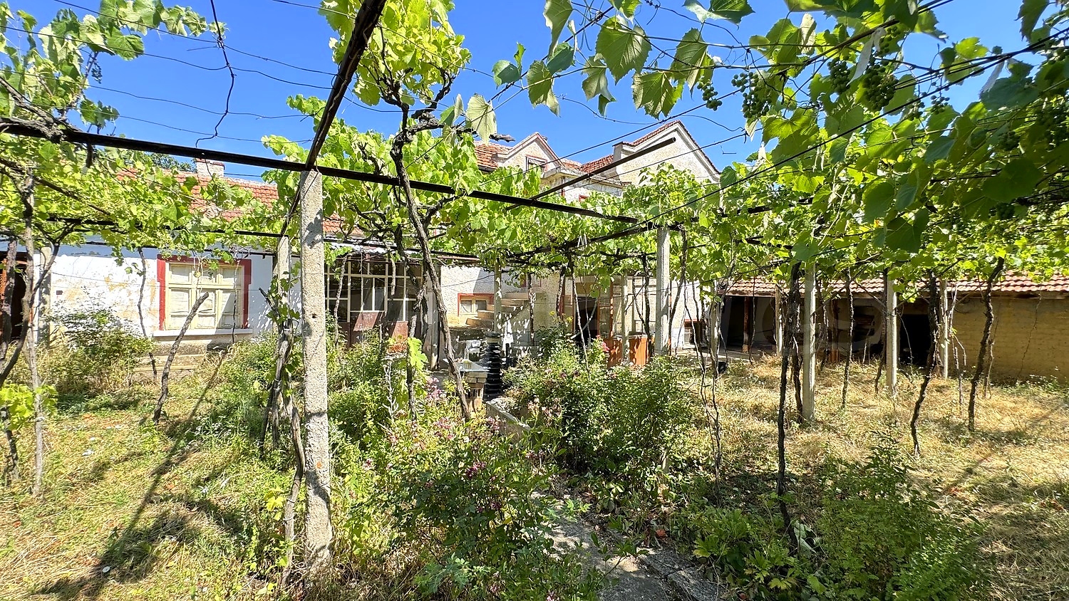 outside, garden, facade
