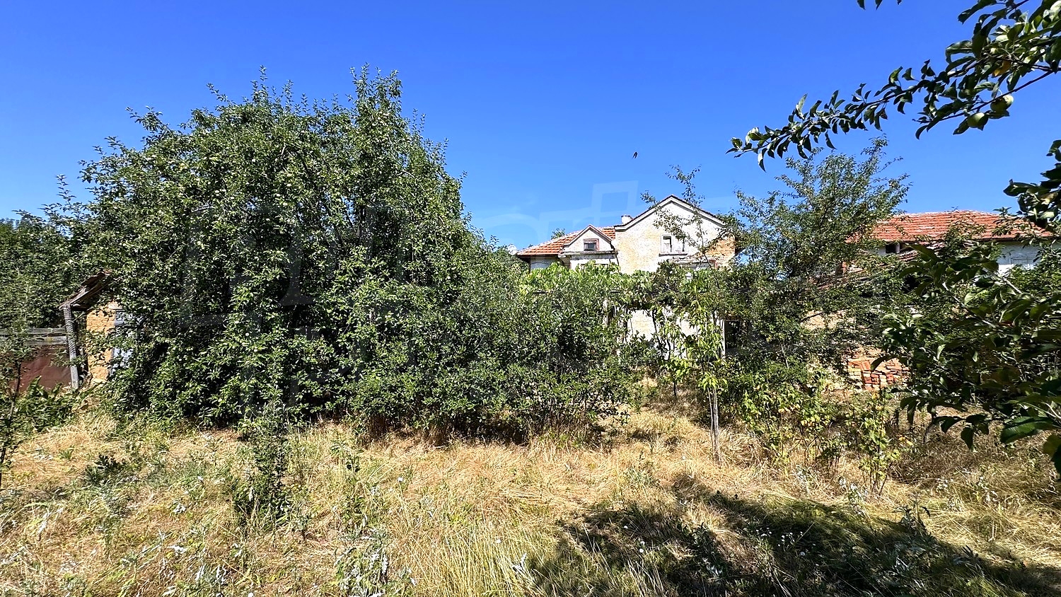 outside, garden, facade