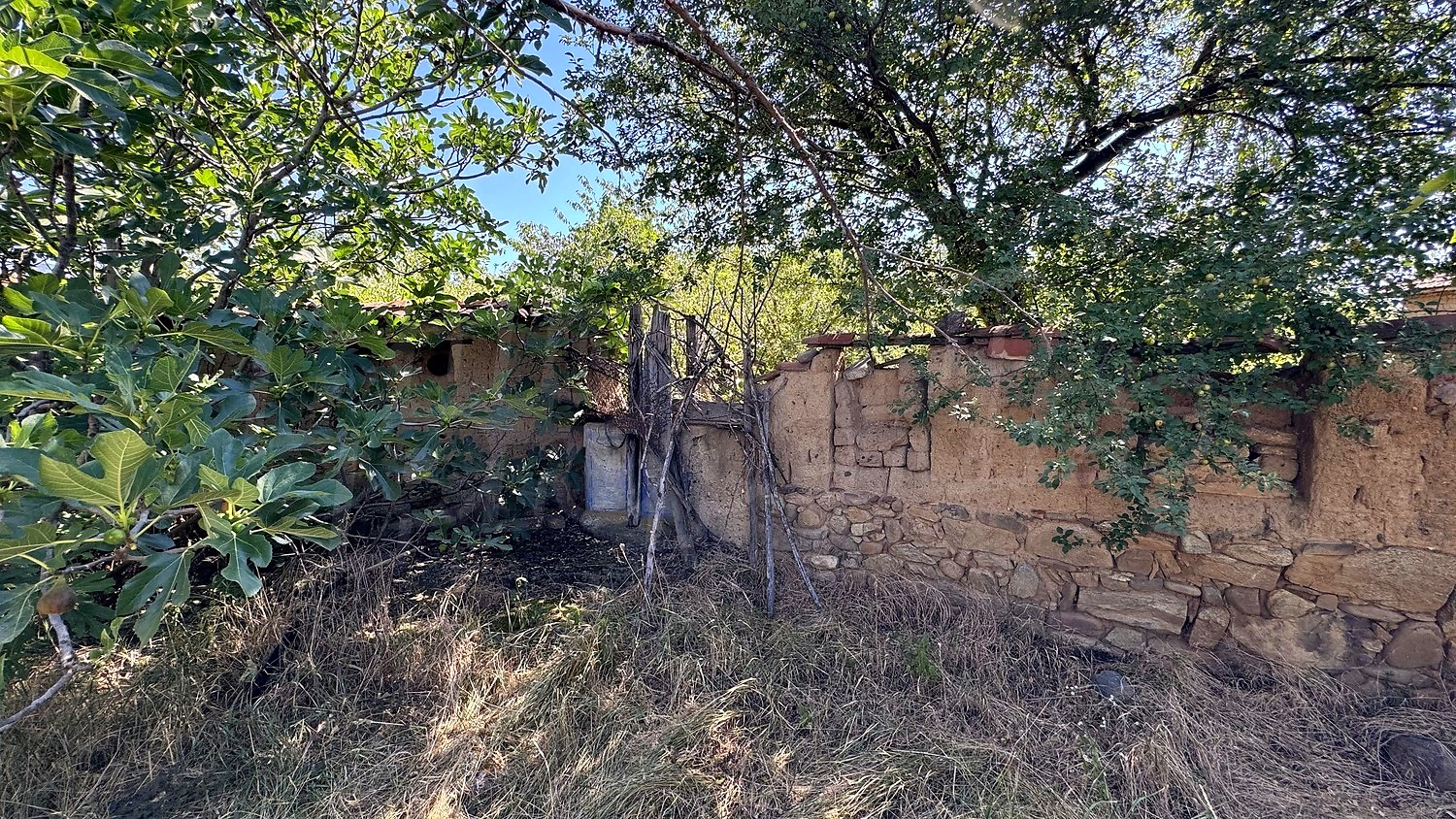 outside, garden