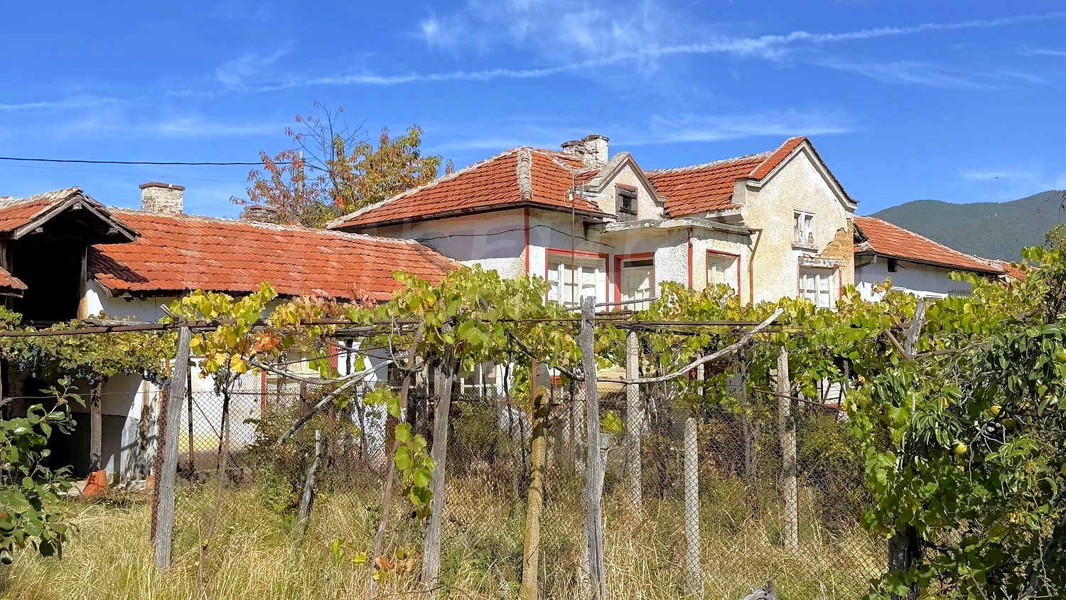 outside, facade, garden
