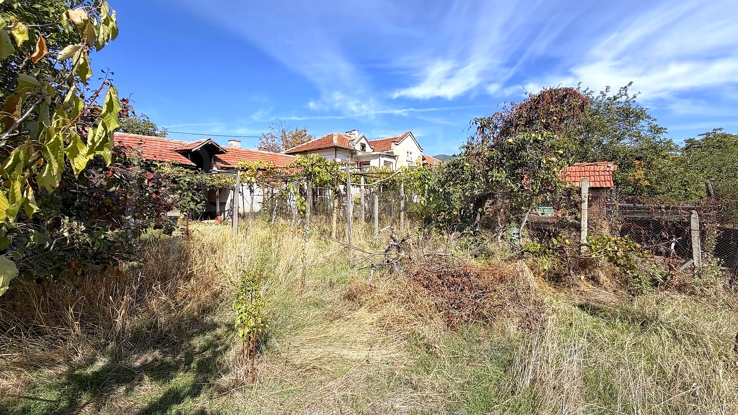 outside, garden