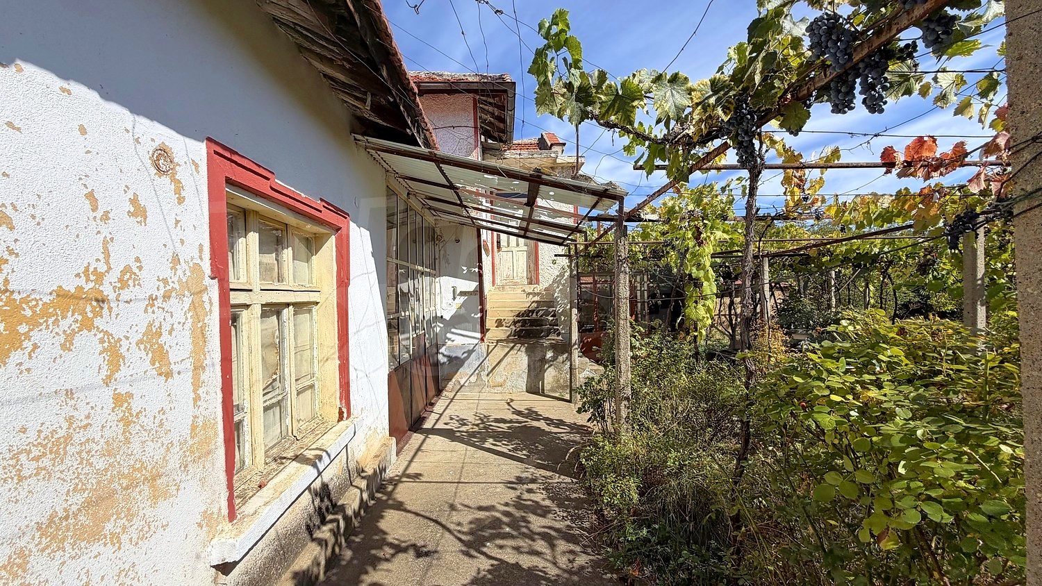 outside, facade, garden