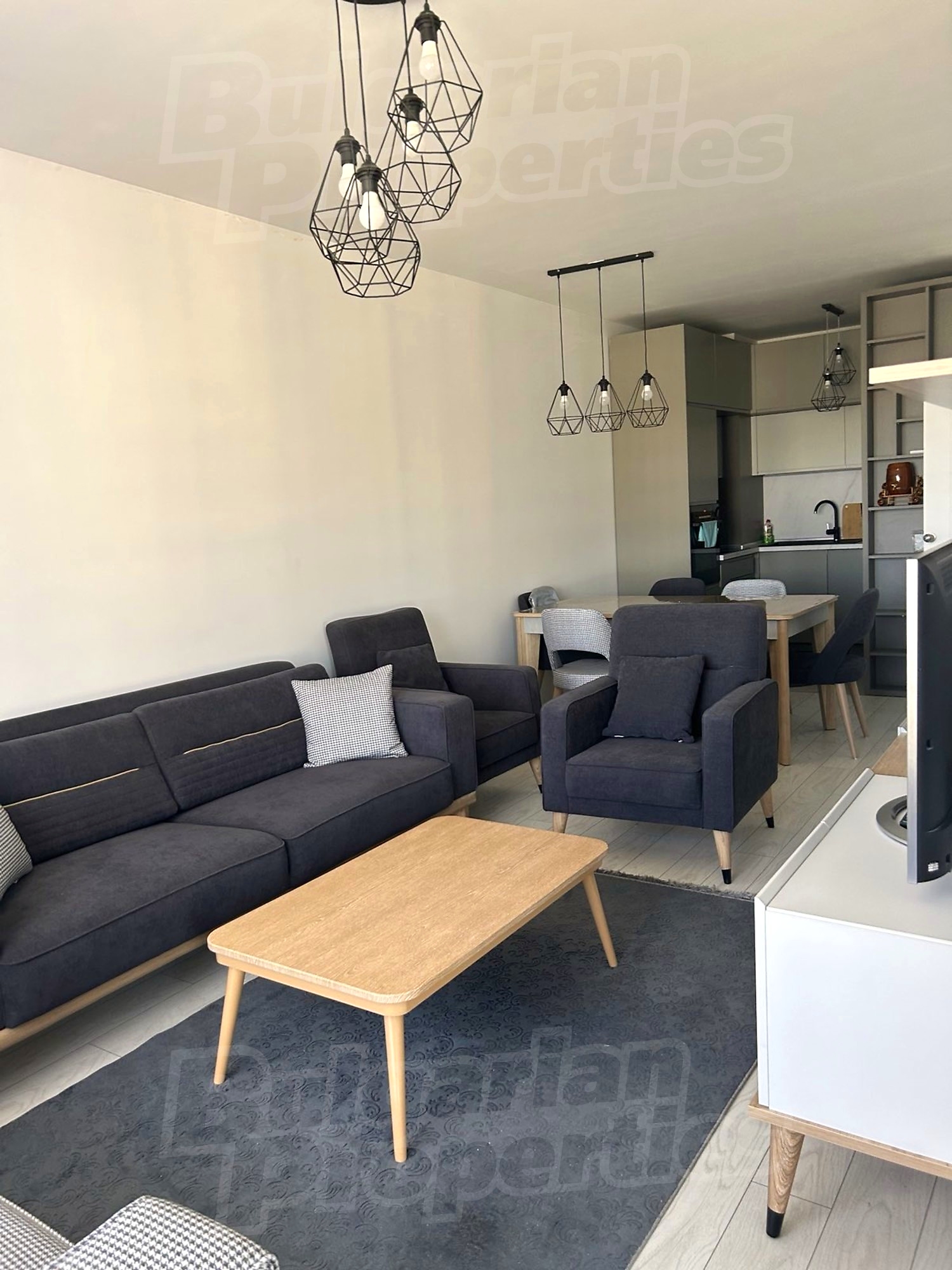 inside, living room, kitchen, furnished