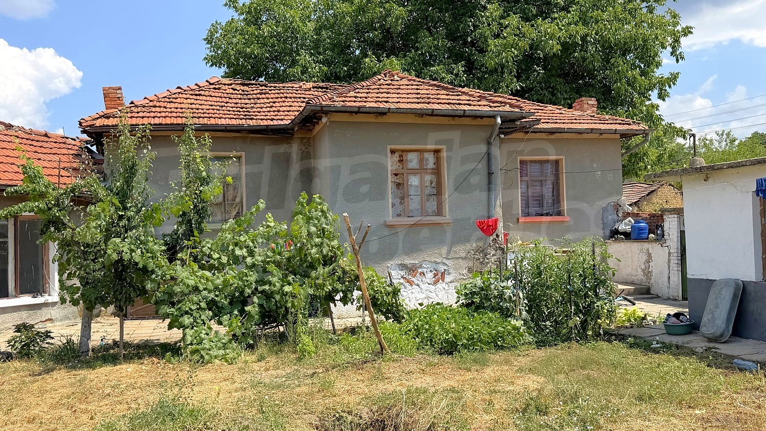 outside, facade, garden