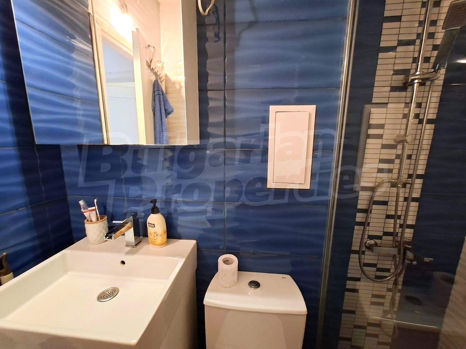 bathroom, toilet, inside