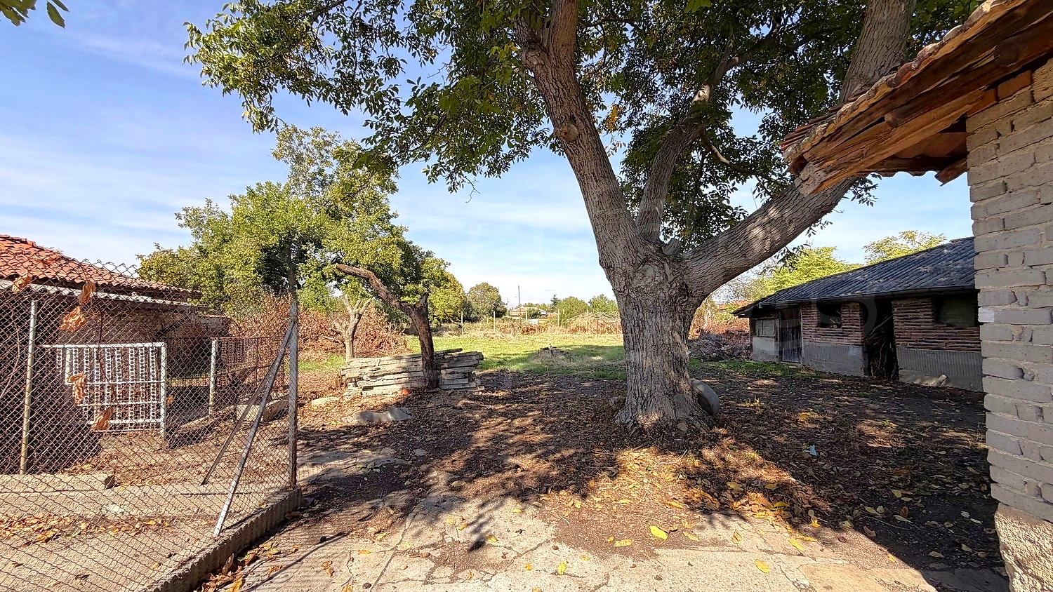 outside, garden