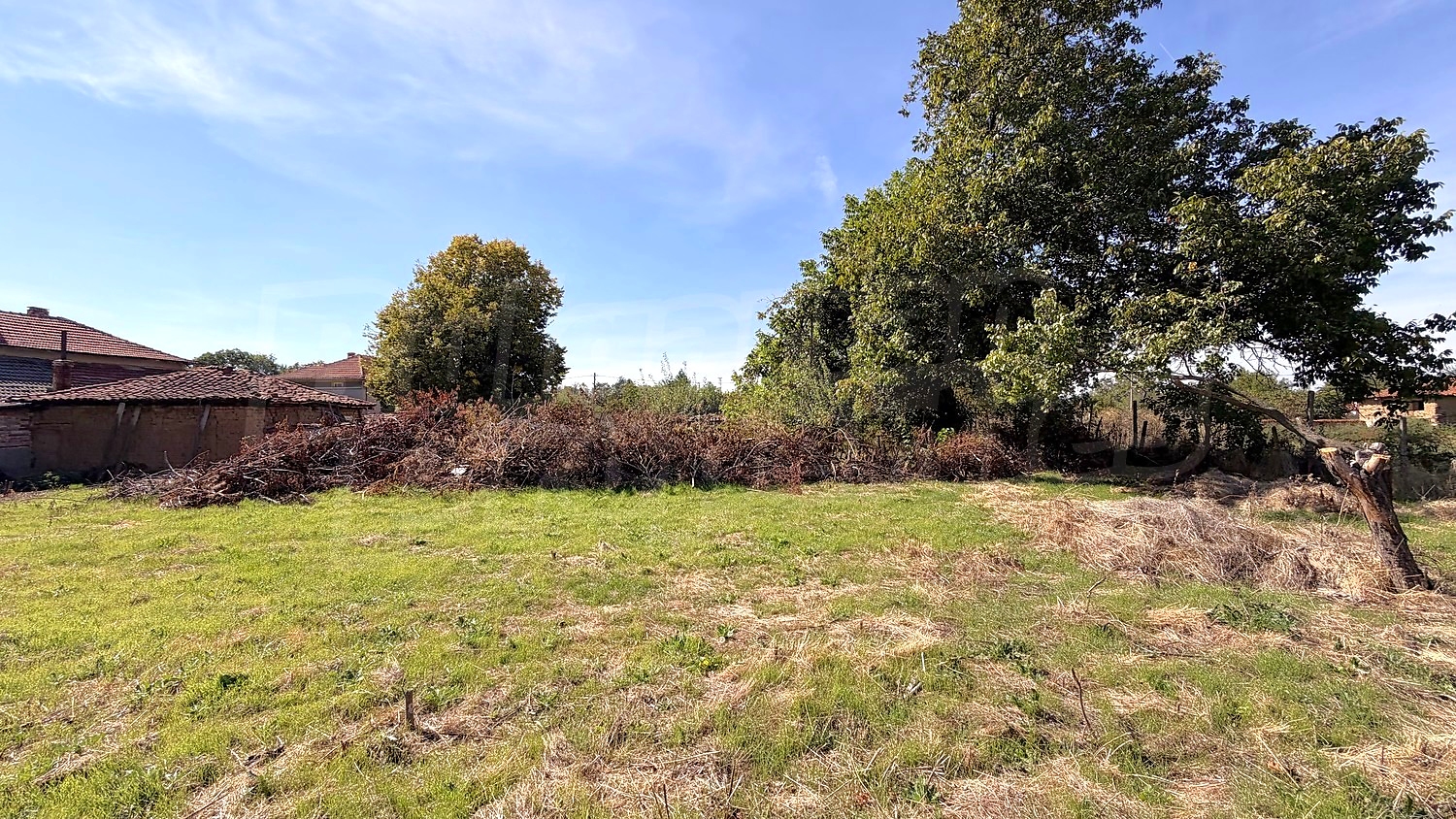 outside, garden, green area