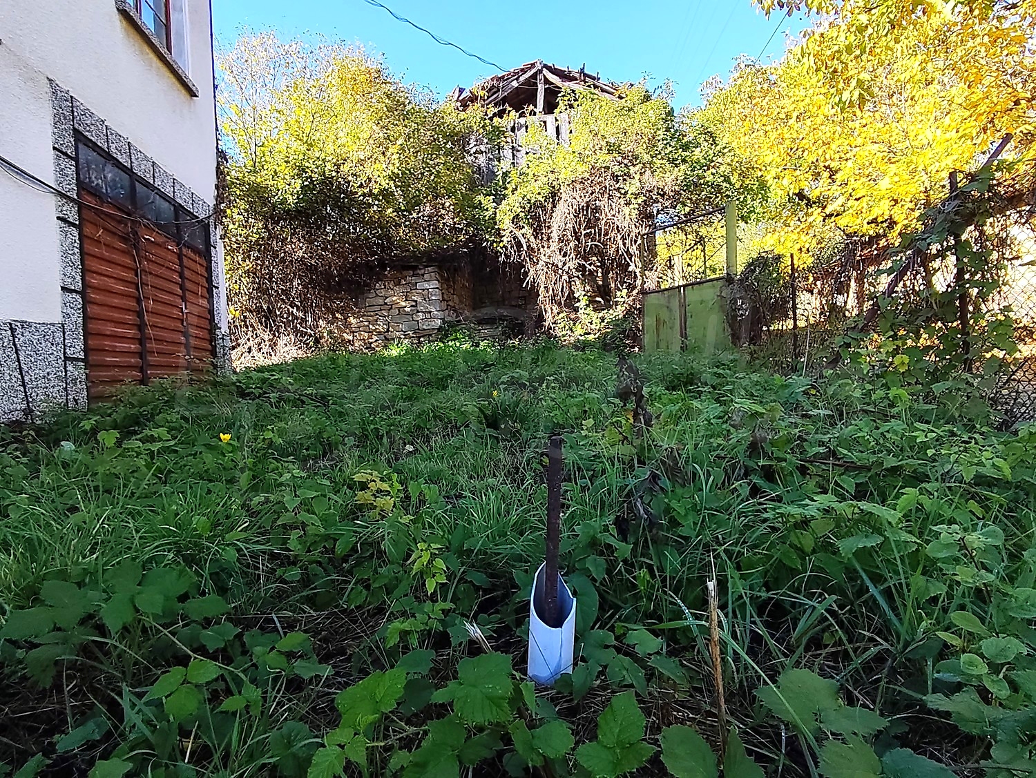 outside, garden, green area, facade