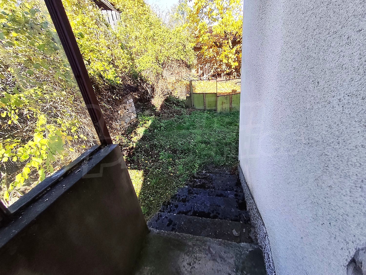 outside, garden