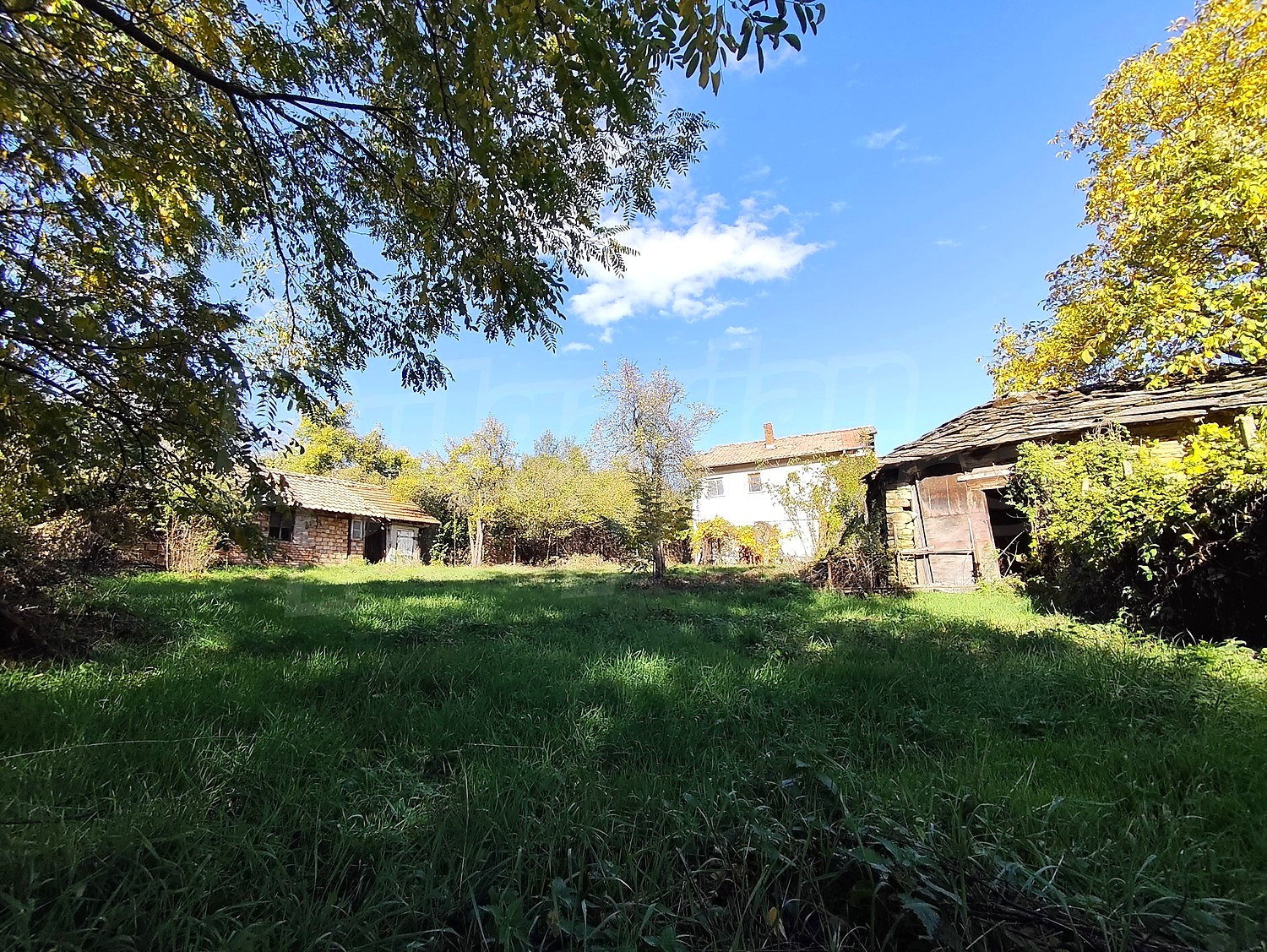 outside, garden