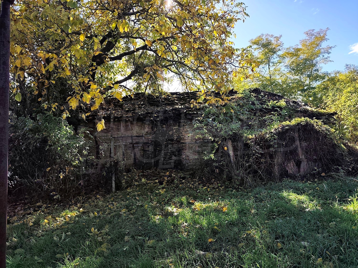 outside, garden