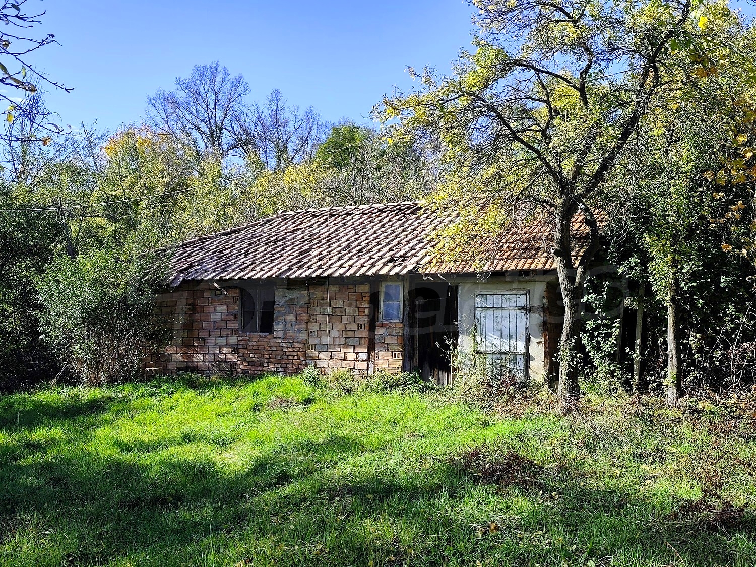 outside, facade, garden, green area