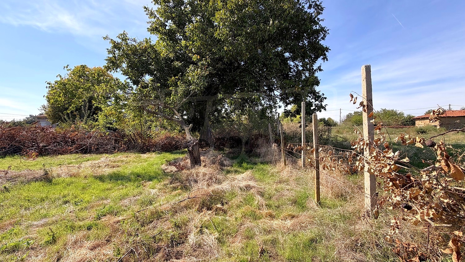 outside, garden, green area