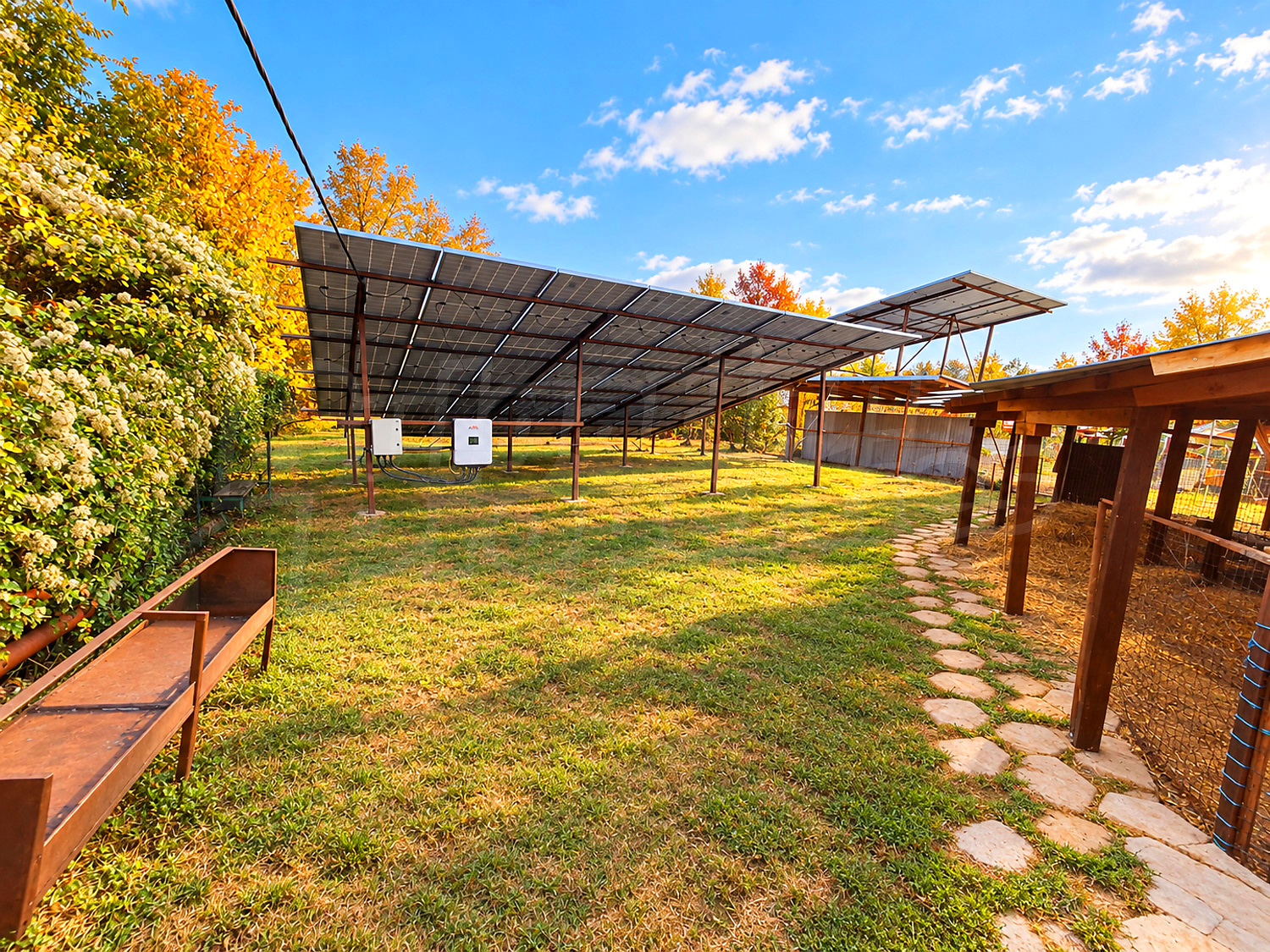 outside, garden