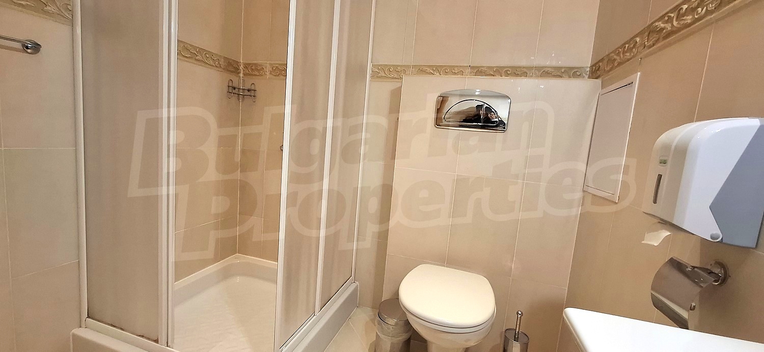 bathroom, toilet