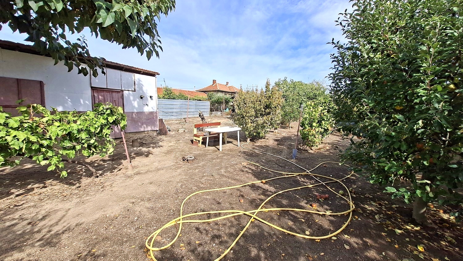 outside, garden