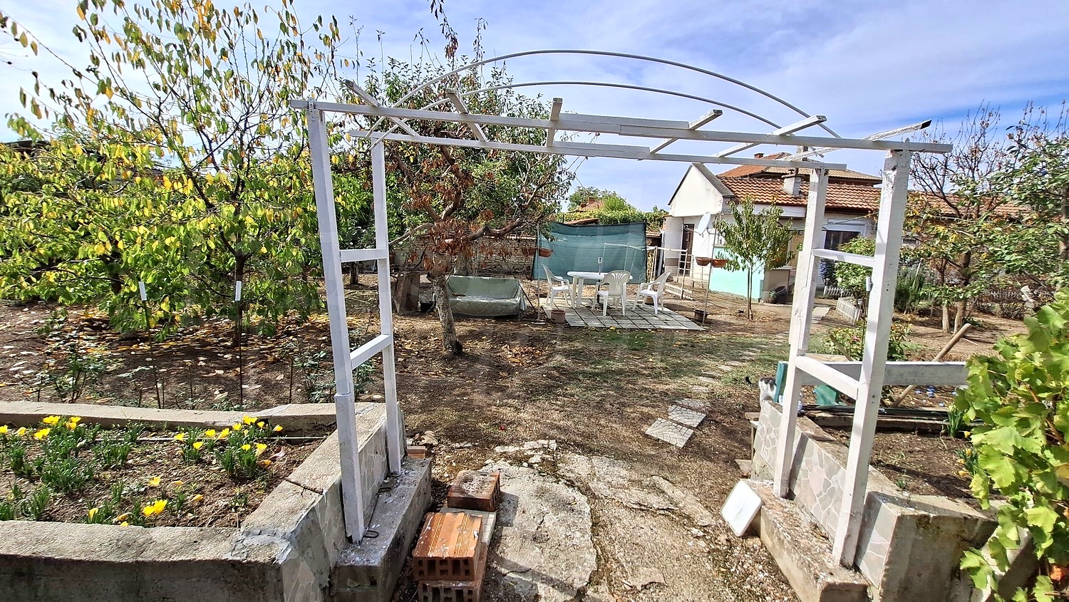 outside, garden, green area