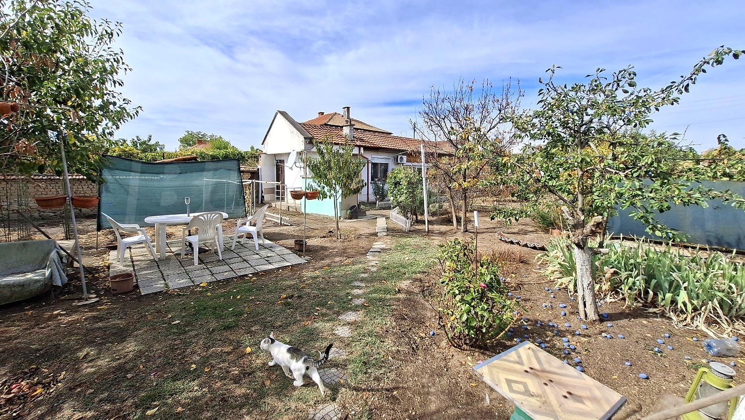 outside, garden