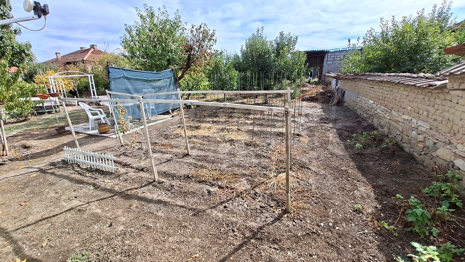 outside, garden