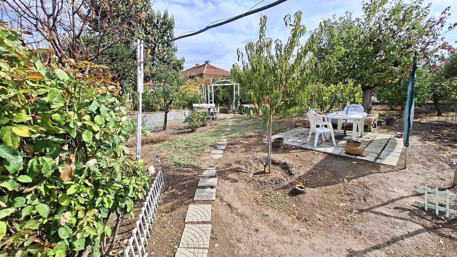 outside, garden