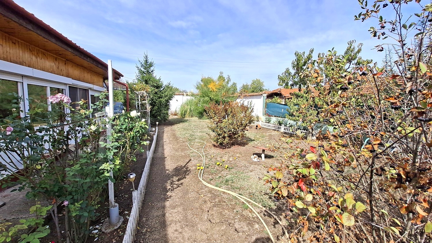 outside, garden