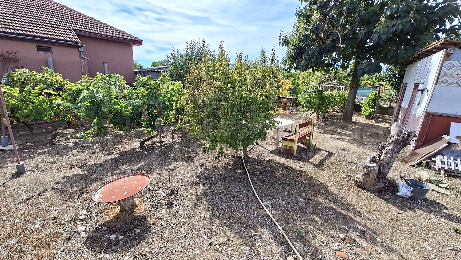 outside, garden