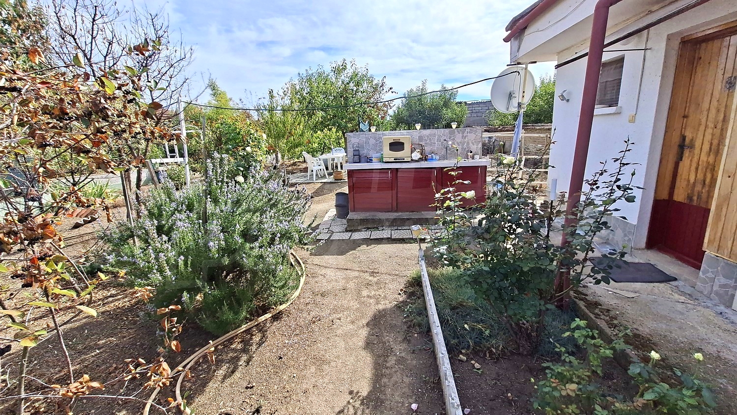 outside, garden
