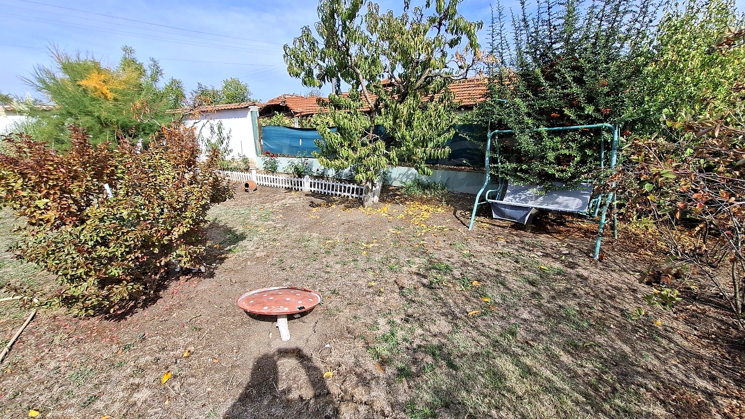 outside, garden, green area