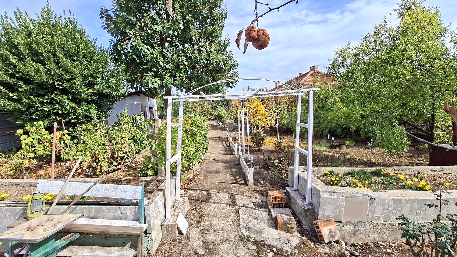 garden, outside