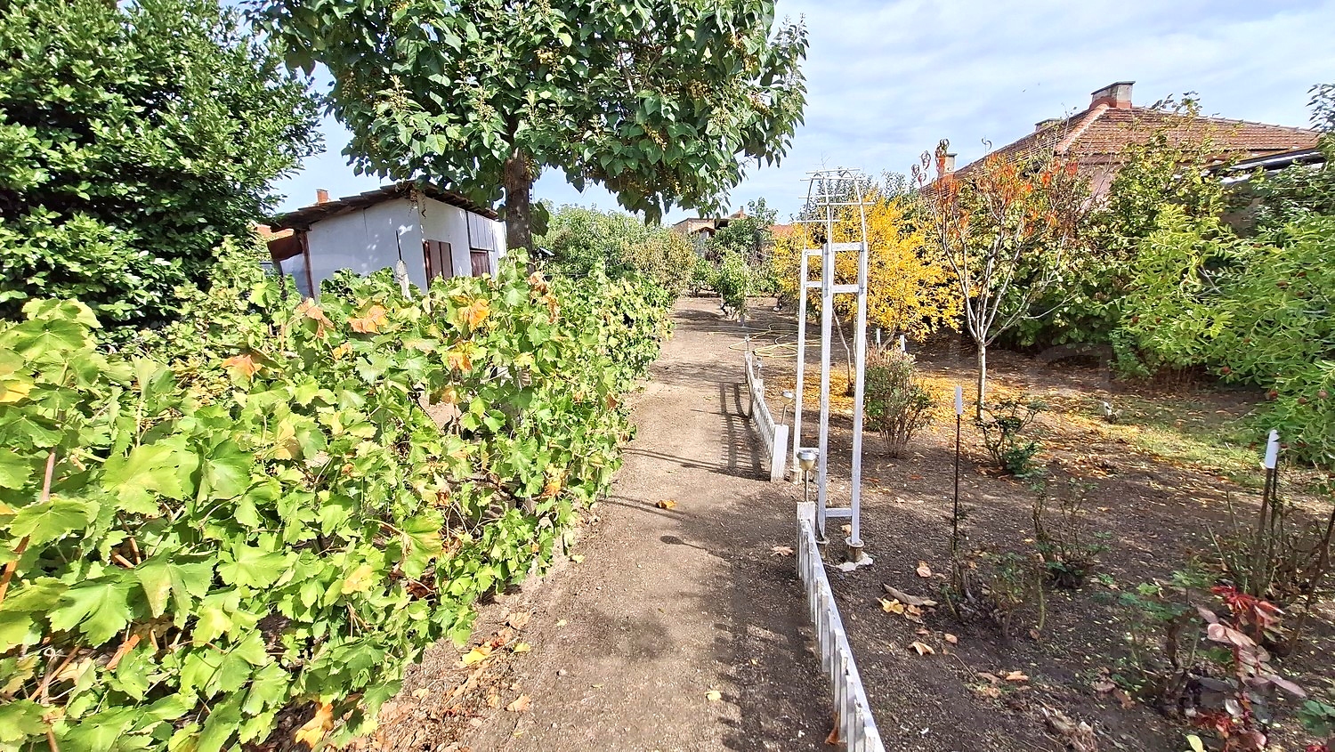 outside, garden
