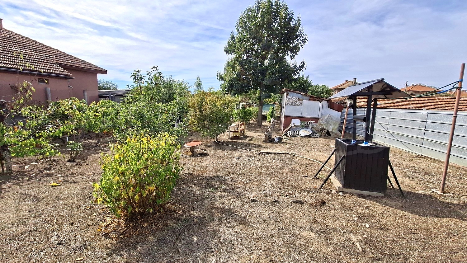 outside, garden
