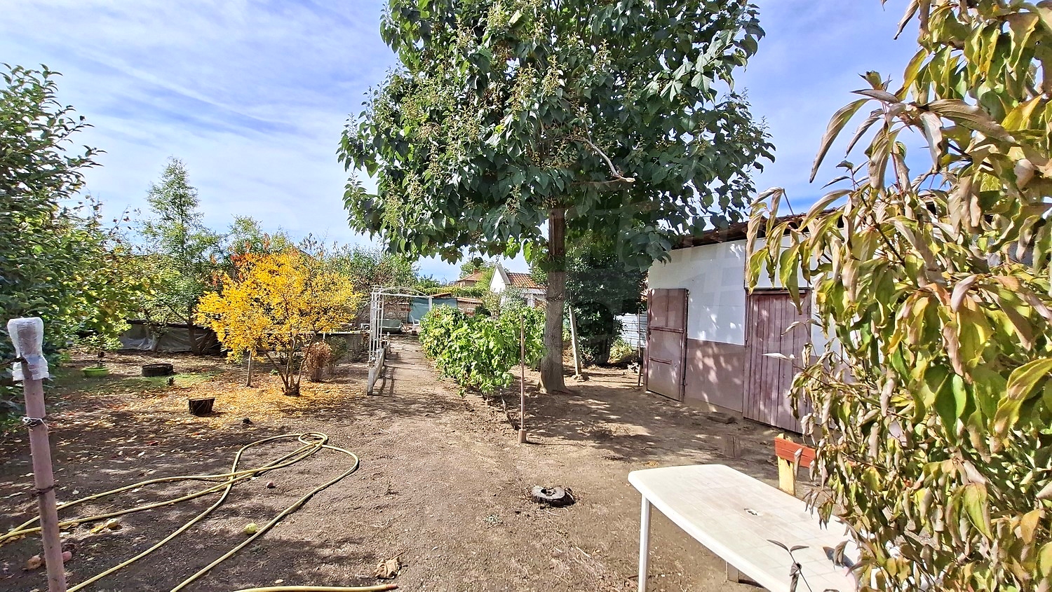 garden, outside, green area
