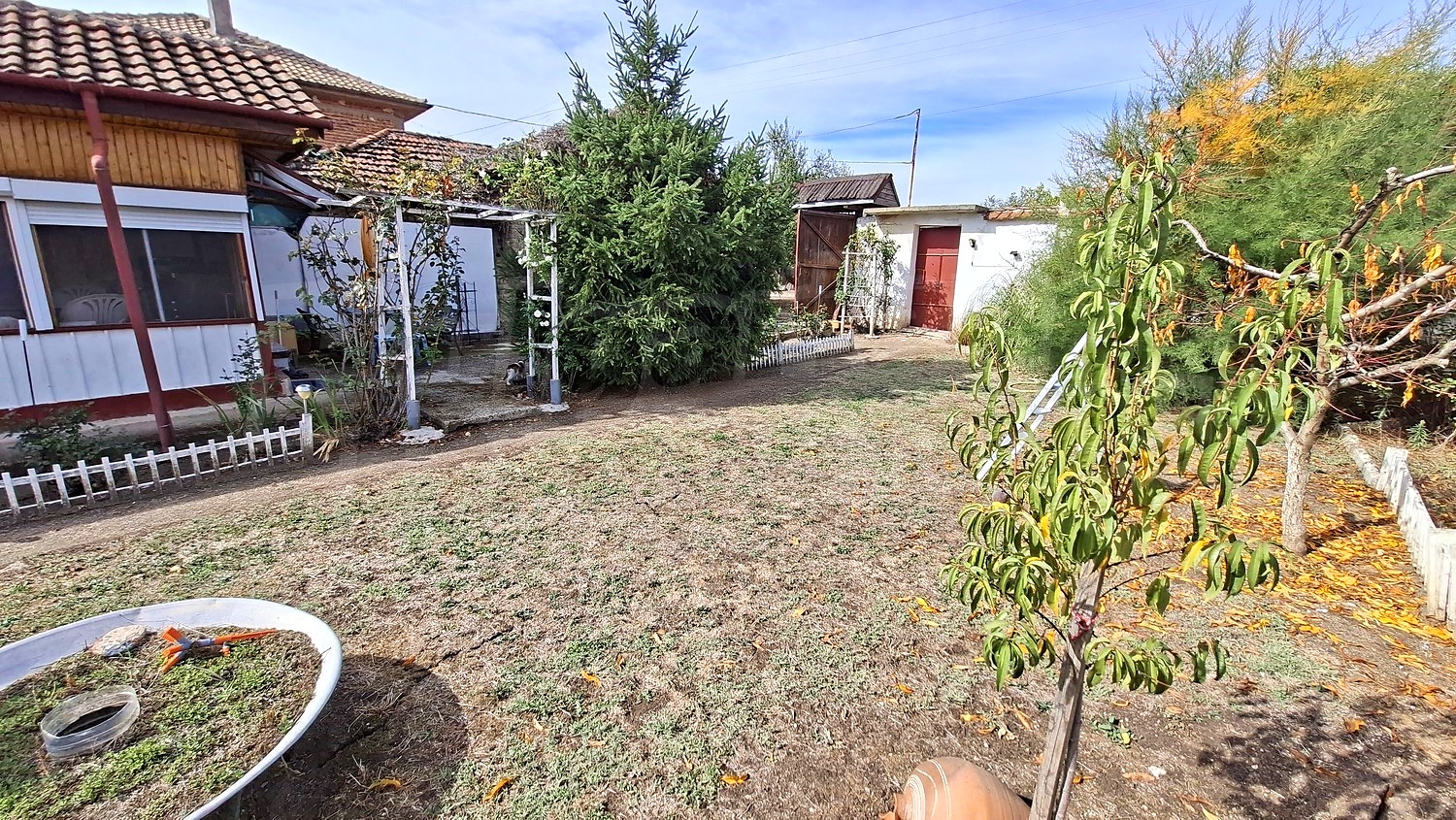 outside, garden