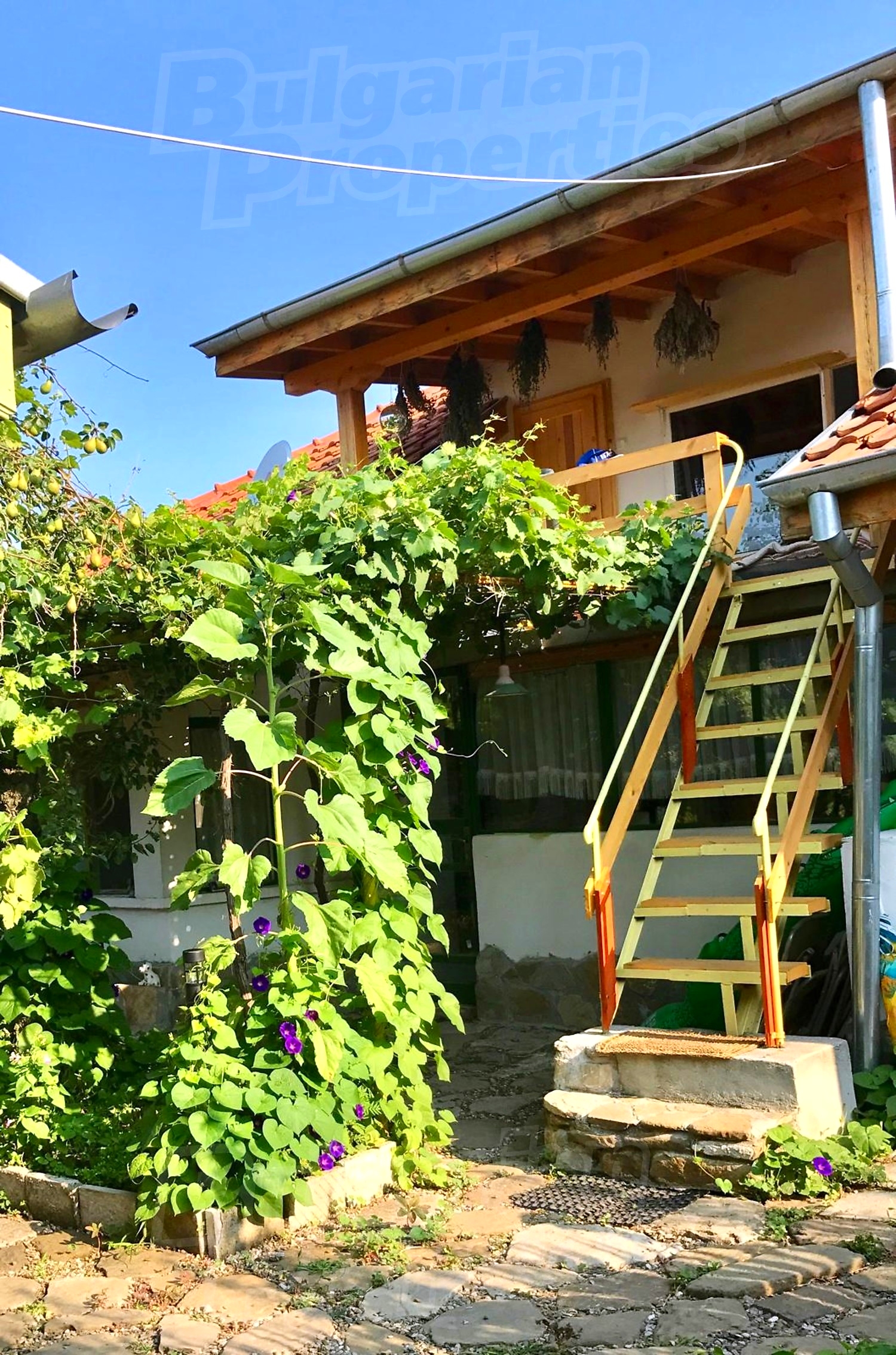 outside, facade, garden