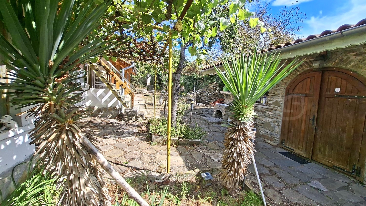 outside, garden