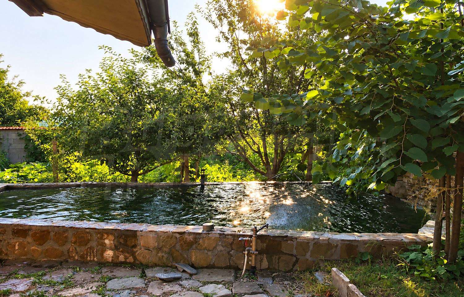 outside, garden, pool, green area