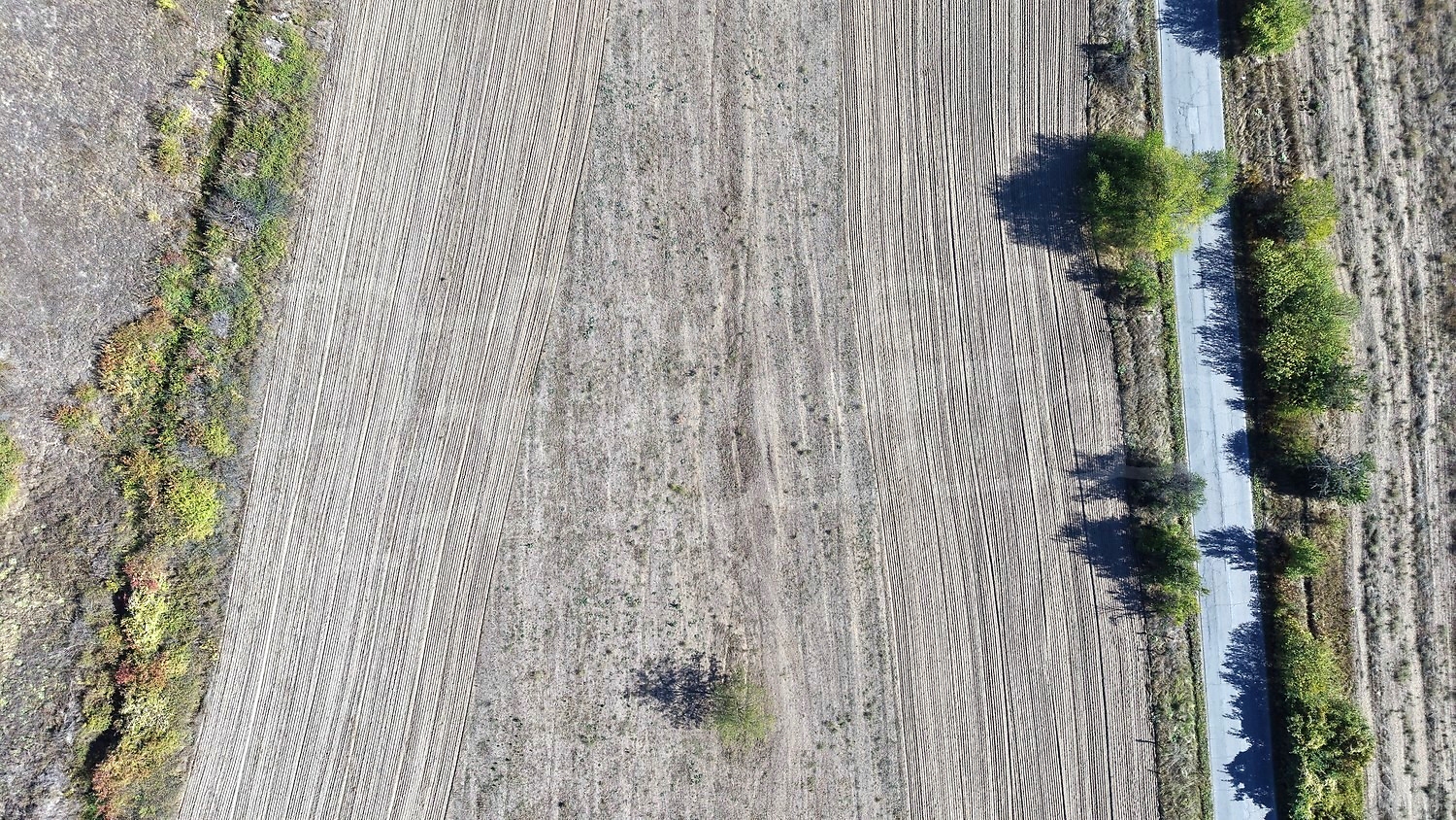 outside, green area