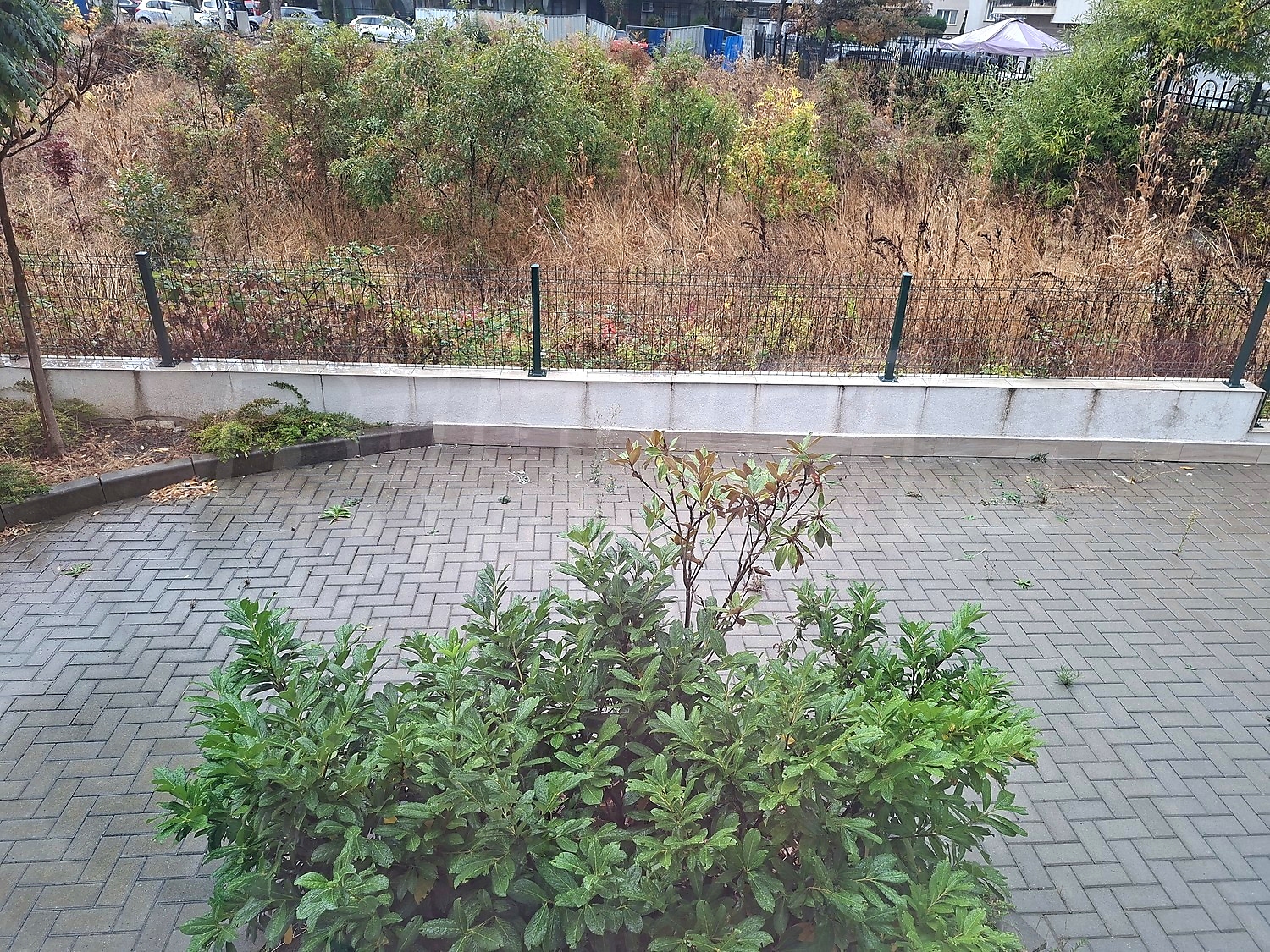 outside, garden, parking