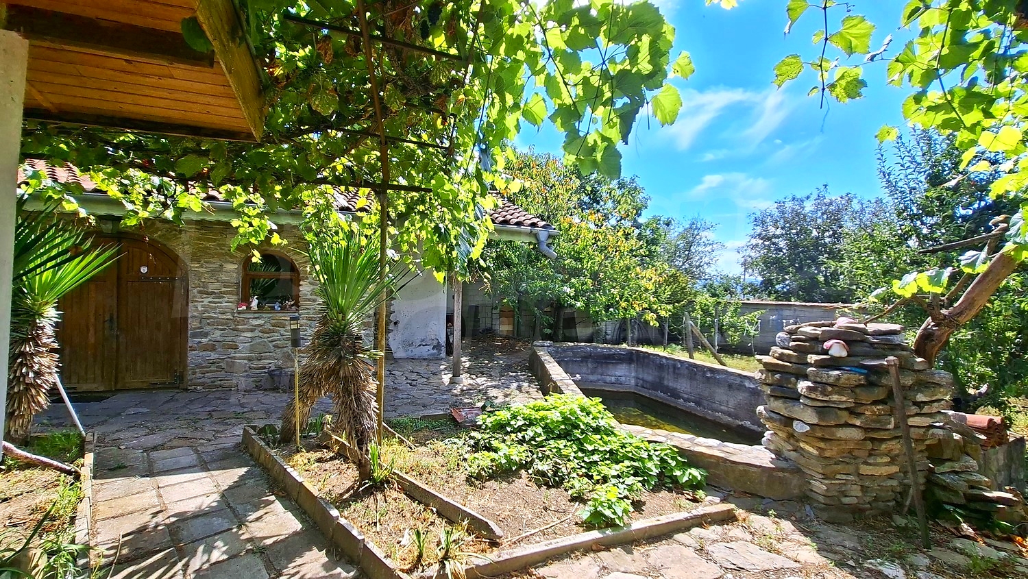 outside, garden