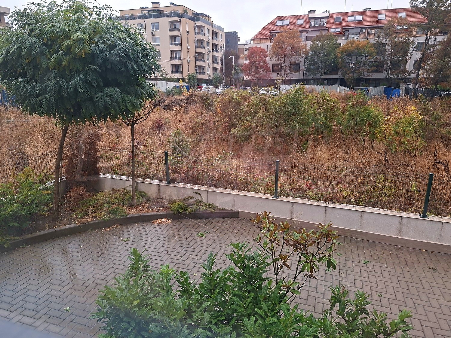outside, garden
