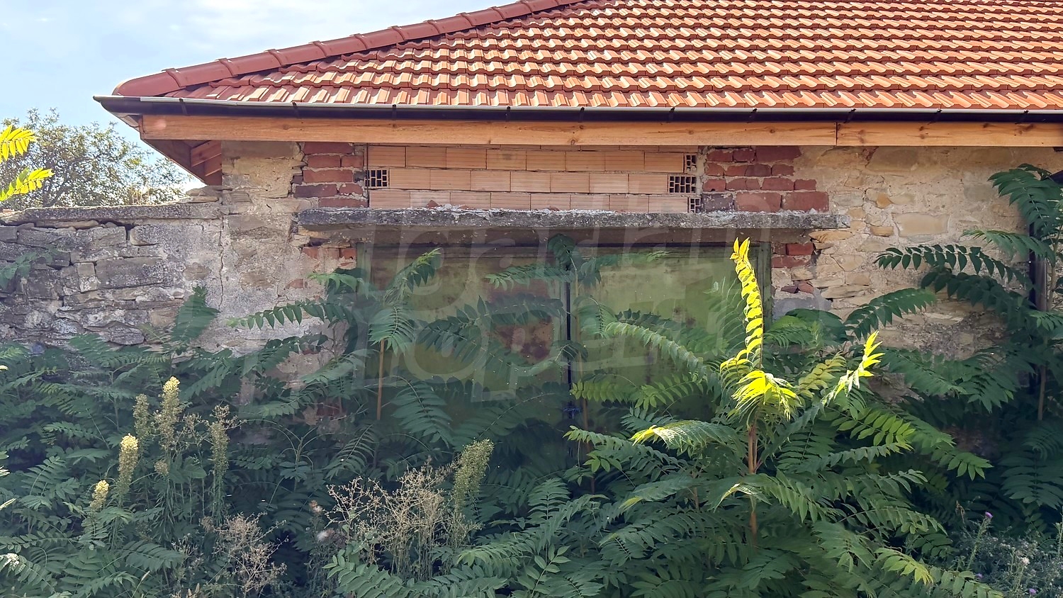facade, garden, outside