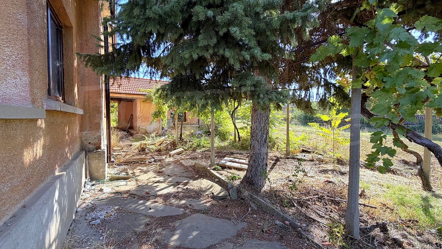 outside, garden