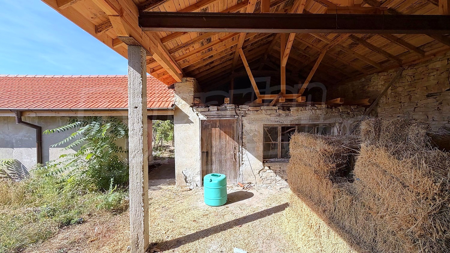 outside, garden
