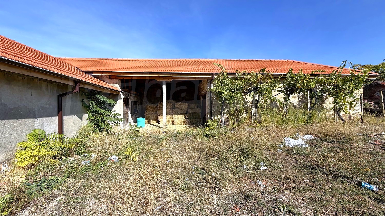 outside, garden